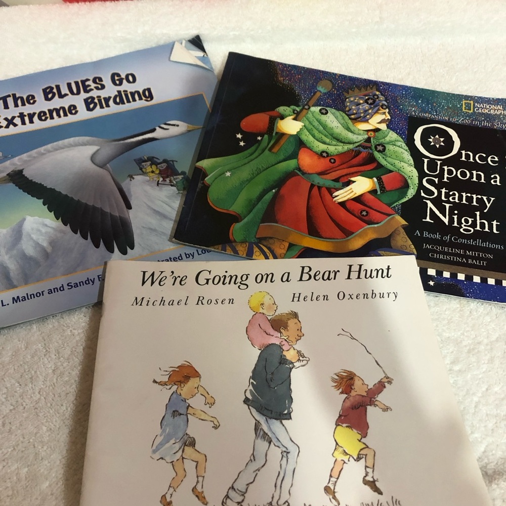 Book sale-3 paperback books- includes Going on a bearhunt
